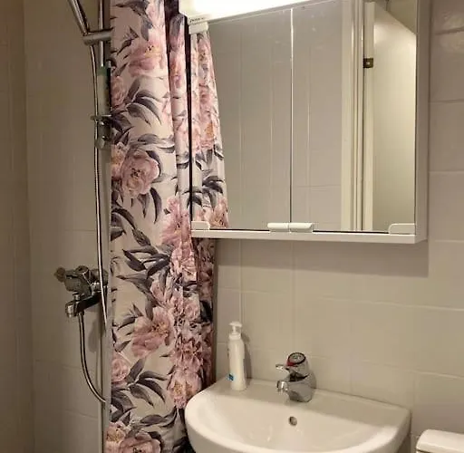 Apartament Viehaettaevae Asunto Heinolan Keskustassa *